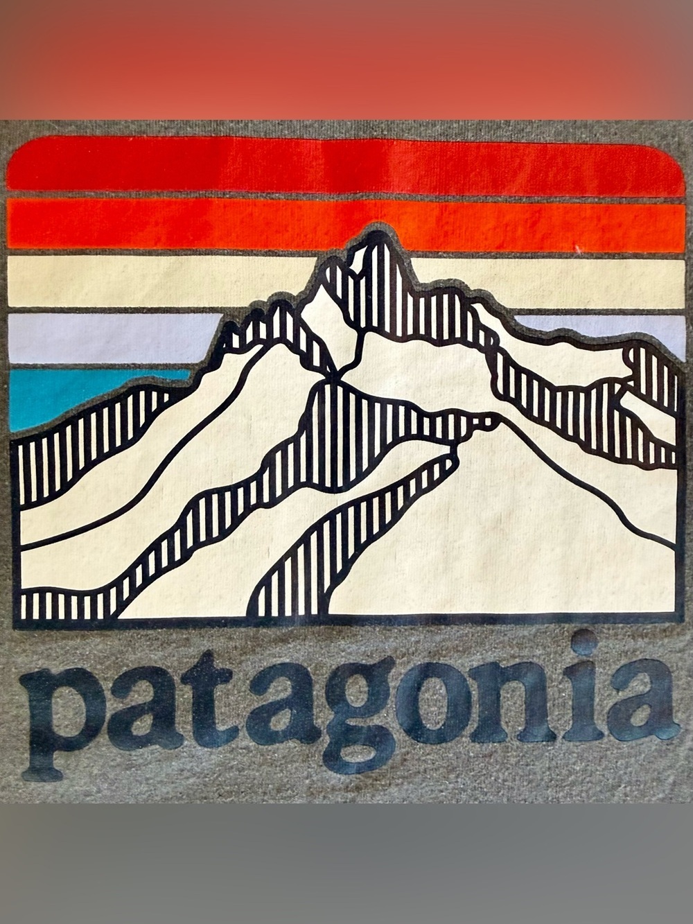 Patagonia Pocket Graphic Tee Gray Responsibili Shirt Mens M NWOT